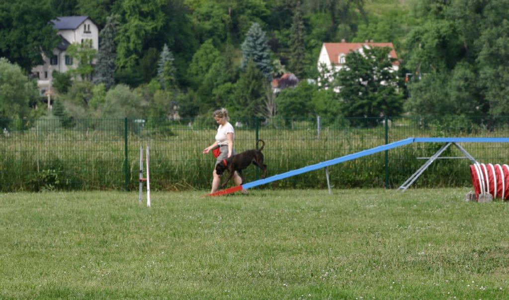 Agility