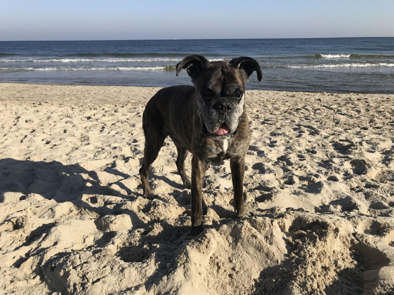 Herbst 2018 an der Ostsee