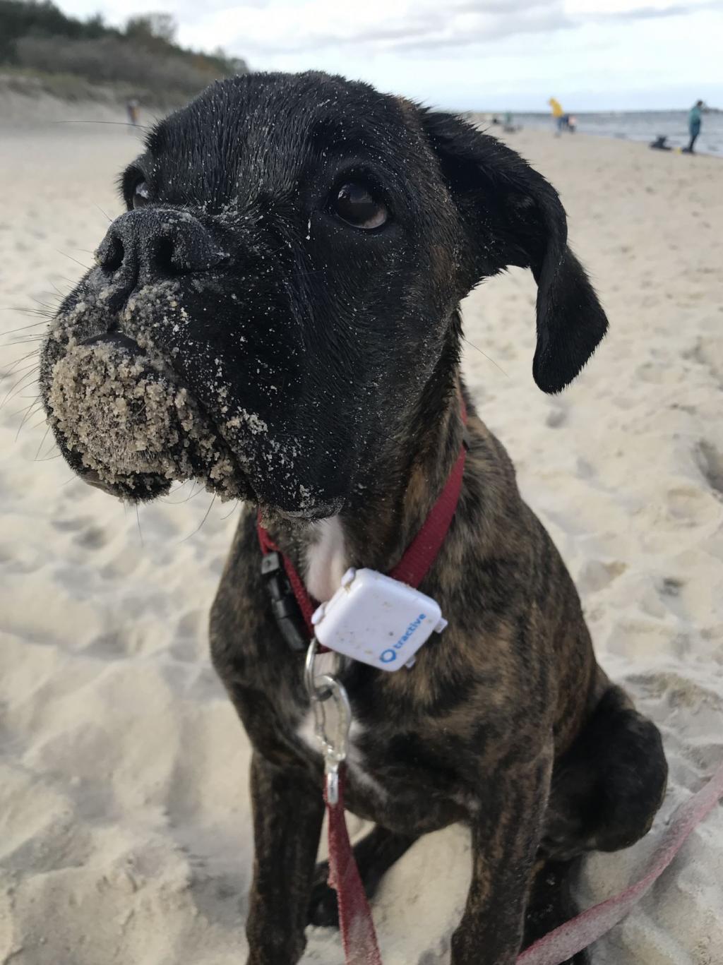 Oktober 2019 an der Ostsee